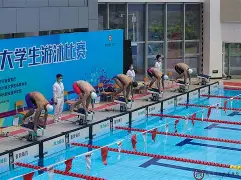 游泳大师赛上演强强对话，瓯越猎隼队强势反弹祁连银狐队，团队配合流畅；战术板得到兑现的简单介绍
